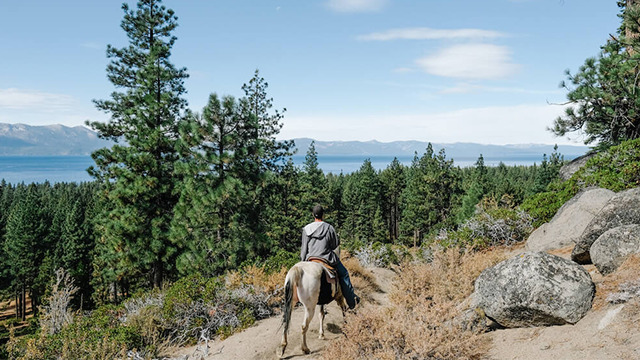 Zephyr Cove Stables